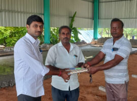 AMMAN-TRY-550-XD-TMT-Bars-Quality-Check-Natham