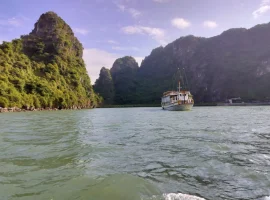 vietnam-tour-30-11-2023-to-07-12-2023 (18)