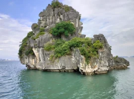 vietnam-tour-30-11-2023-to-07-12-2023 (19)