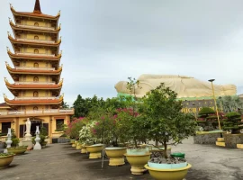 vietnam-tour-30-11-2023-to-07-12-2023 (5)
