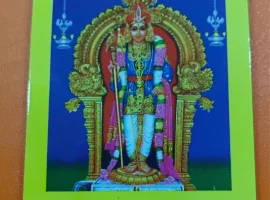palani-thaipusam-25-01-2024 (7)