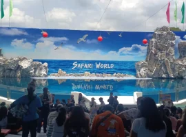 thailand-tour-2025 (11)